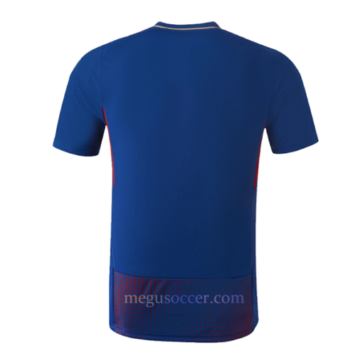 Olympique Lyon Fourth Shirt 2022/23