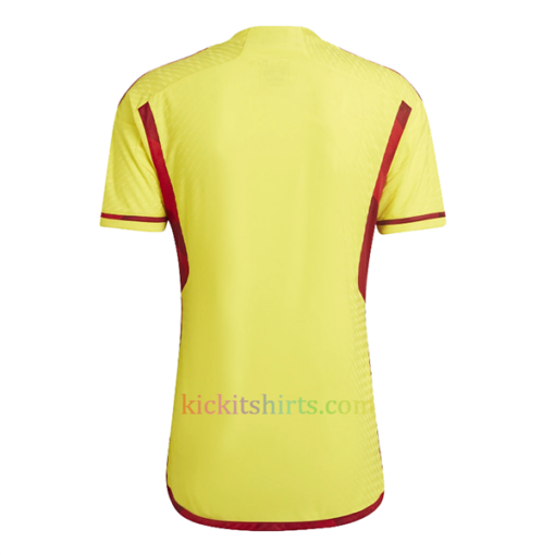 Colombia Home Shirt 2022 Stadium Edition