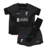 Liverpool Away Goalkeeper Kit Kids 2022/23