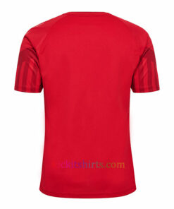 Denmark Home Shirt 2022 Stadium Edition