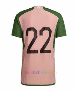 Japan Special Edition Shirt 2022/23 Stadium Edition