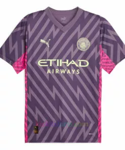 Manchester City Goalkeeper Shirt 2023/24 Purple