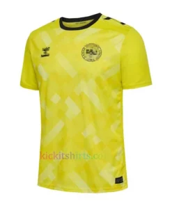 Denmark Goalkeeper Shirt 2024 Yellow