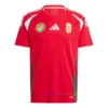 Wales Away Shirt 2024