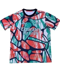 Arsenal Special Shirt 2024/25 1