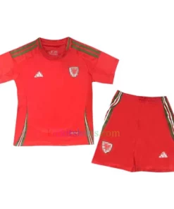 Wales Home Kit Kids 2024 1