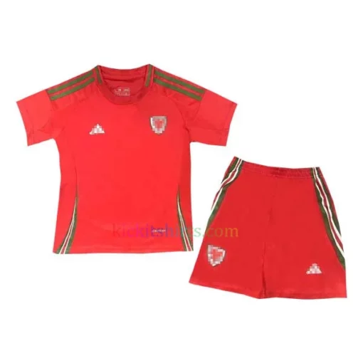 Wales Home Kit Kids 2024 1