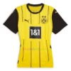 Heidenheim Home Shirt 2024/25