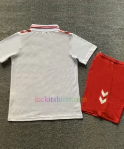 Denmark Away Kit Kids 2024