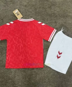 Denmark Home Kit Kids 2024