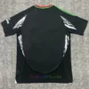 Arsenal Away Shirt 2024-25 2