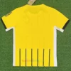 Brighton Away Shirt 2024-25 2