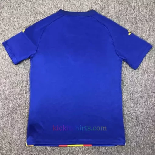 Spain Training Shirt 2024 2