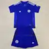 Celtic Concept Edition Kit Kids 2024/25 Green