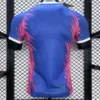 Tottenham Hotspur Special Version Shirt 2024-25 Stadium Edition 2
