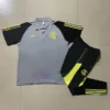 Germany Polo Kit 2024