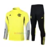 Brazil Light Green Tracksuit 2024 Full Sleeves
