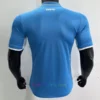 Napoli Home Shirt 202425 Stadium Edition Back