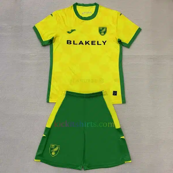 Norwich City Home Kit Kids 2024/25 Cheap Football Shirts