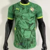 Senegal Home Shirt 2024/25 Stadium Edition
