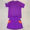Wolves Third Kit Kids 202425 (1)