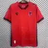 Albania Home Shirt 2025 (2) front