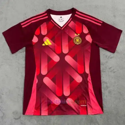 Germany Women Euro Away Shirt 2025 (1) front