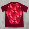 Germany Women Euro Away Shirt 2025 (1) back