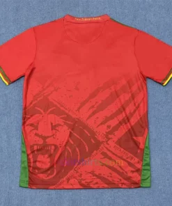 Cameroon Away Shirt 2025