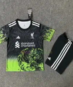 Liverpool Dragon Special Kit Kids 2025/26