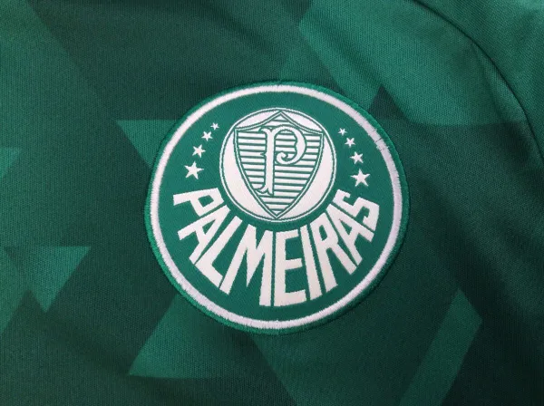 Palmeiras green logo and shirt